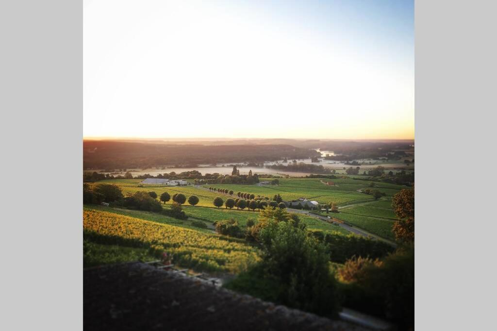 Apartmán Vue Panoramique Sur Le Vignoble Sancerre Exteriér fotografie